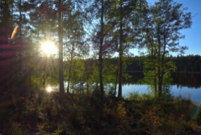 Kvällssol vid Lilla Älgsjön