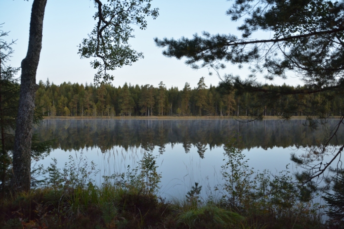 Morgon vid Lilla Älgsjön